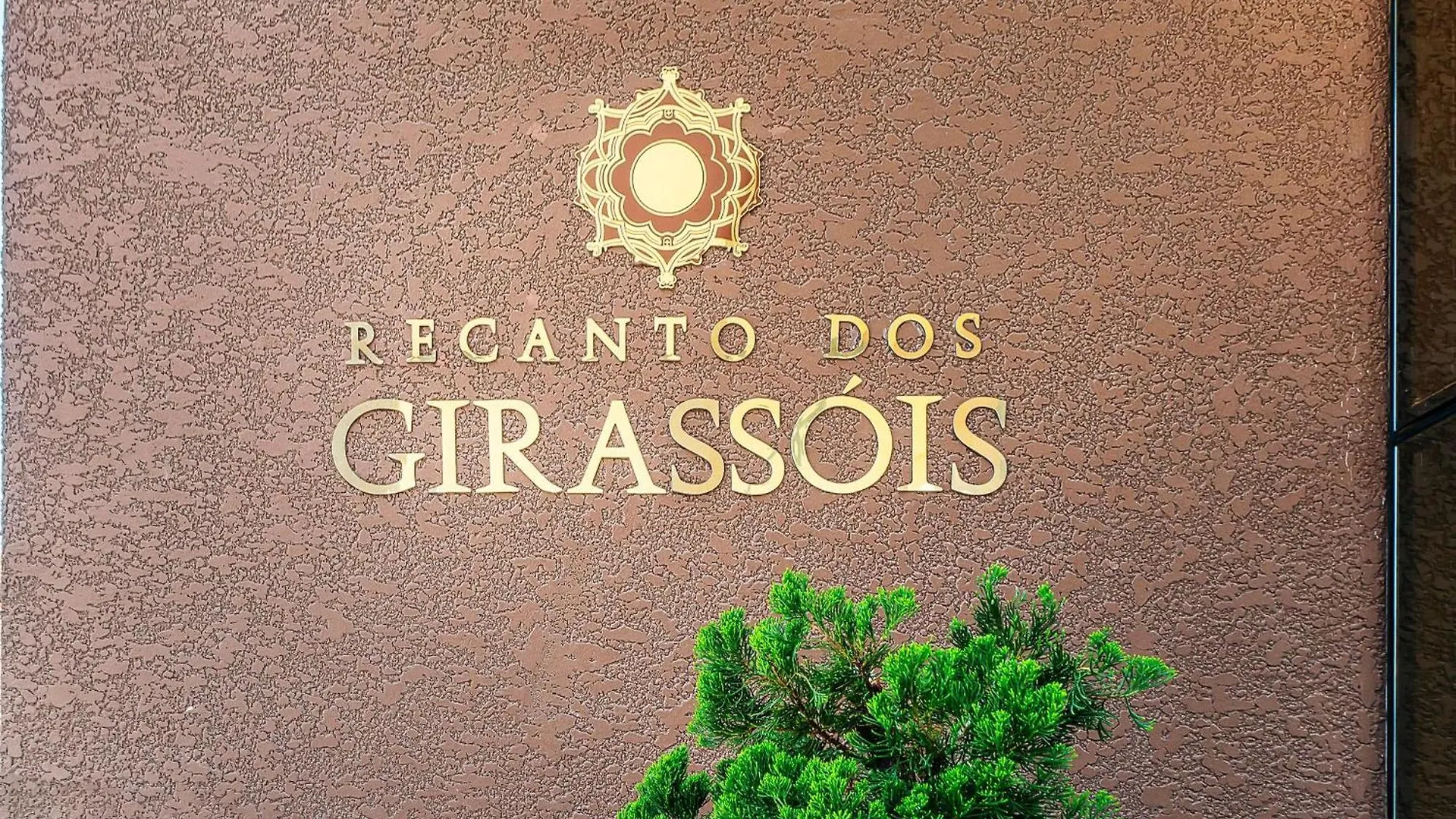 Recanto Dos Girassois 206 - Excelente Apartamento 2 Quartos Em Predio Com Piscina - A 200M Do Mar - بومبينهاس 0*,